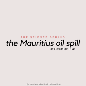 The Mauritius Oil Spill: was it really cleaned up?