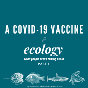 Sharks & a COVID-19 Vaccine