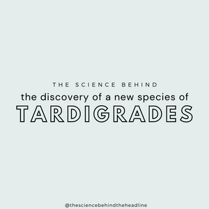 The Discovery of a New Species of Tardigrades