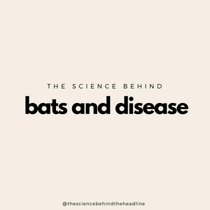 Why Bats are Safe from COVID-19 — but you aren't