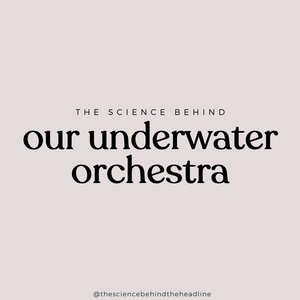 Our Underwater Orchestra (Climate Series: Part Three)