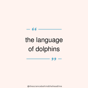 The Language of Dolphins