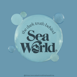 The Dark Truth Behind SeaWorld